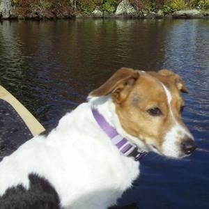 Meet your Posher, Wanda